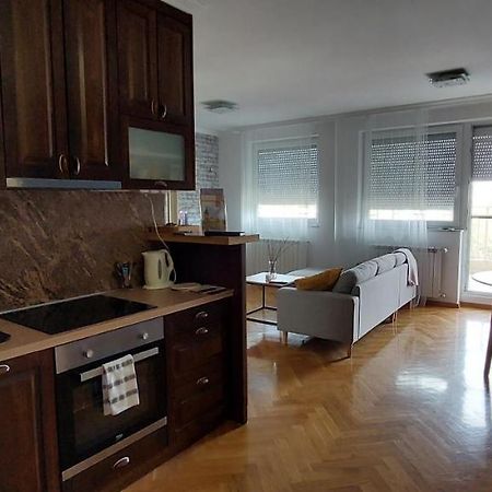 Plavi Zec Apartment Subotica Bagian luar foto
