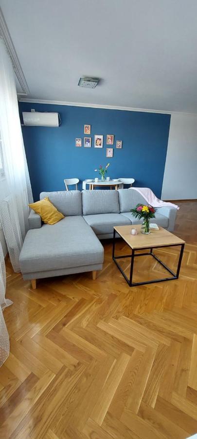 Plavi Zec Apartment Subotica Bagian luar foto
